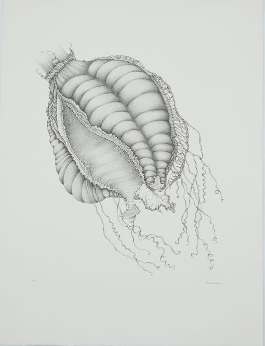 Gochka CHAREWICZ : Nepenthes sins iridum  - Lithographie originale signée