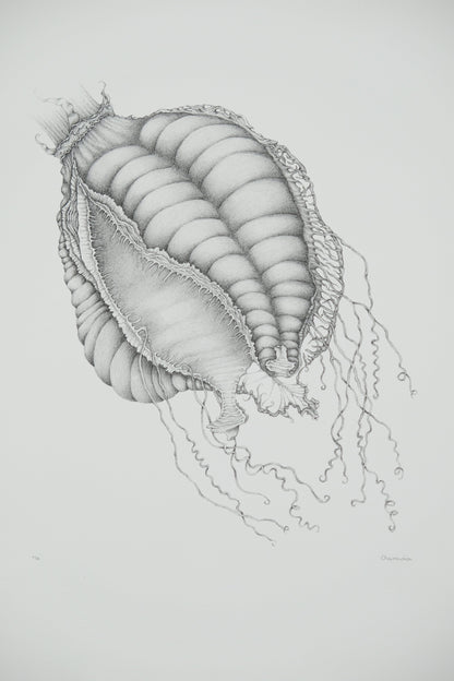 Gochka CHAREWICZ : Nepenthes sins iridum  - Lithographie originale signée