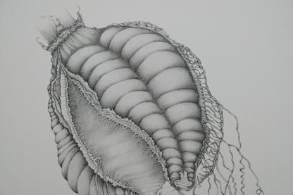 Gochka CHAREWICZ : Nepenthes sins iridum  - Lithographie originale signée