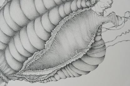 Gochka CHAREWICZ : Nepenthes sins iridum  - Lithographie originale signée