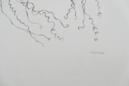 Gochka CHAREWICZ : Nepenthes sins iridum  - Lithographie originale signée
