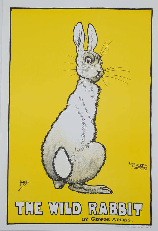 John HASSALL : The wild rabbit  - Affiche originale signée