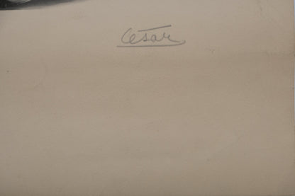 CESAR : Compression - Lithographie originale signée