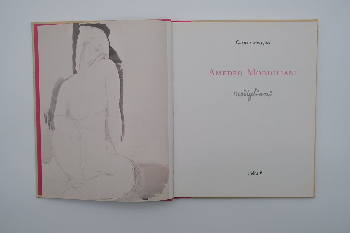Amedeo MODIGLIANI : Carnets érotiques - Livre illustré