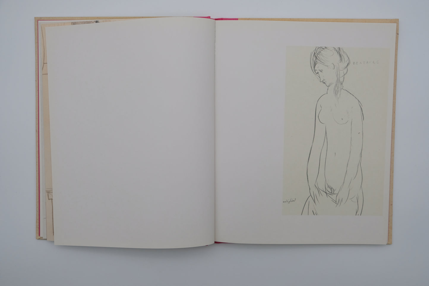 Amedeo MODIGLIANI : Carnets érotiques - Livre illustré