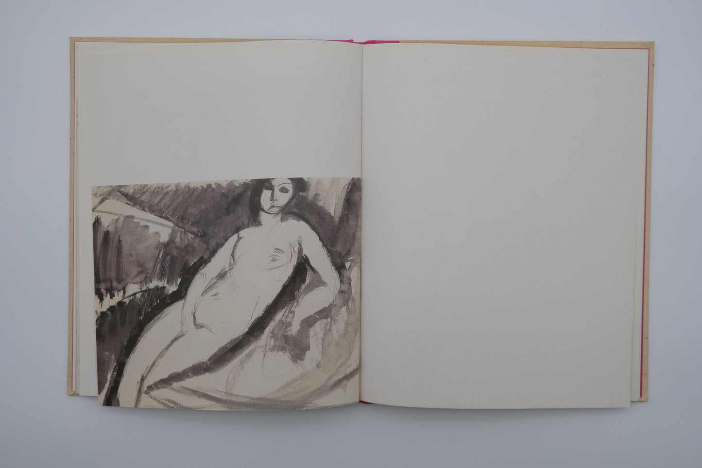 Amedeo MODIGLIANI : Carnets érotiques - Livre illustré
