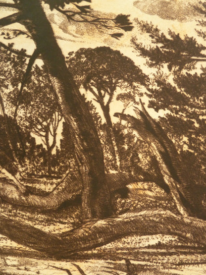 Gerard DIAZ : Le vent - Gravure originale signée