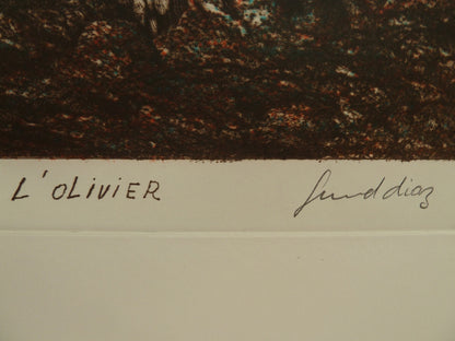 Gerard DIAZ : L'olivier - Gravure originale signée