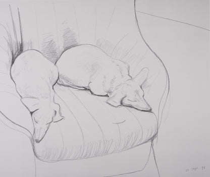David HOCKNEY : Stanley and Boodge - Affiche originale vintage