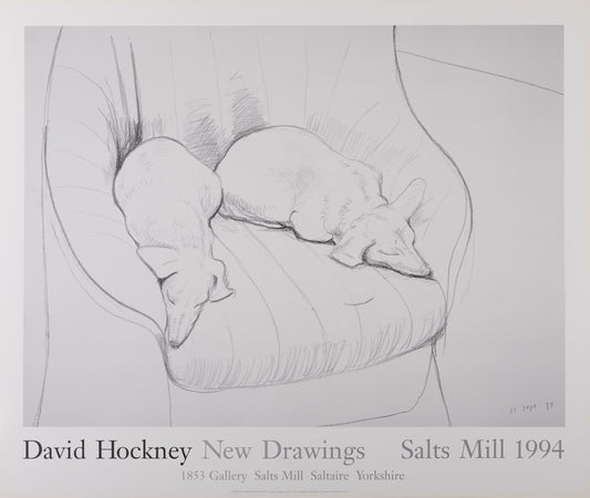 David HOCKNEY : Stanley and Boodge - Affiche originale vintage