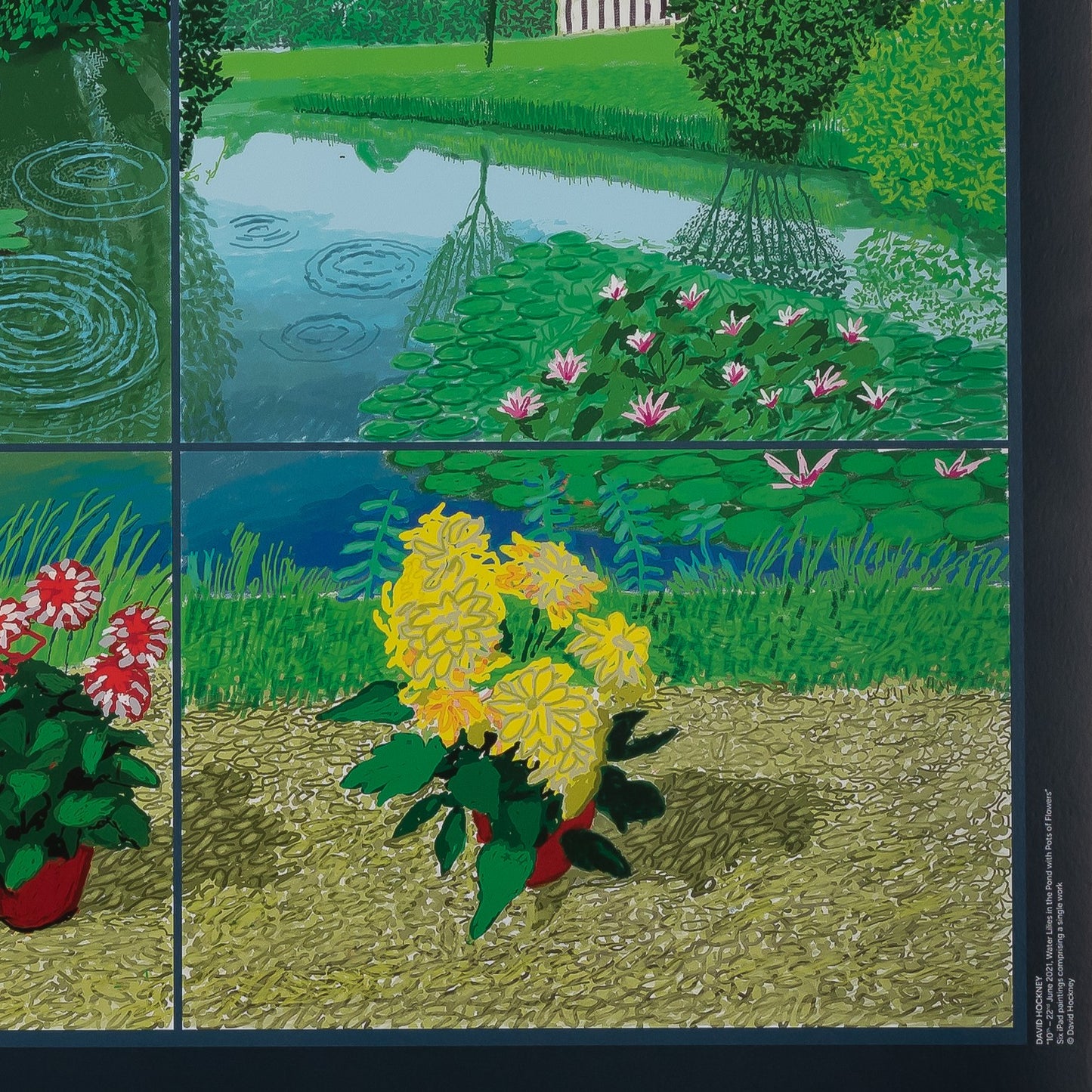 David HOCKNEY : Waterlilies in the pond - Affiche originale en couleurs