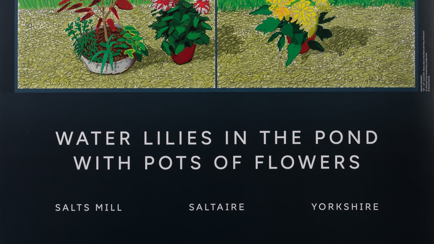 David HOCKNEY : Waterlilies in the pond - Affiche originale en couleurs