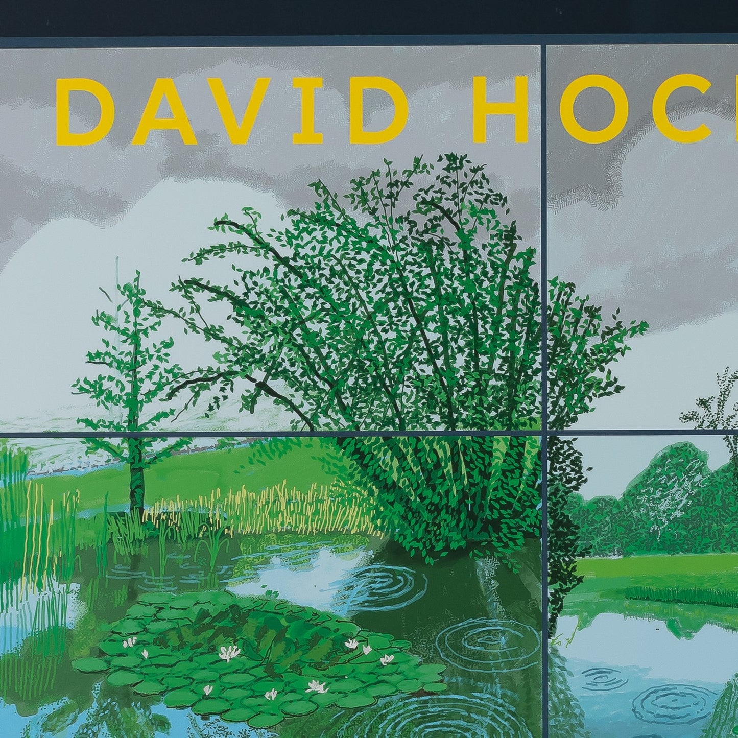 David HOCKNEY : Waterlilies in the pond - Affiche originale en couleurs