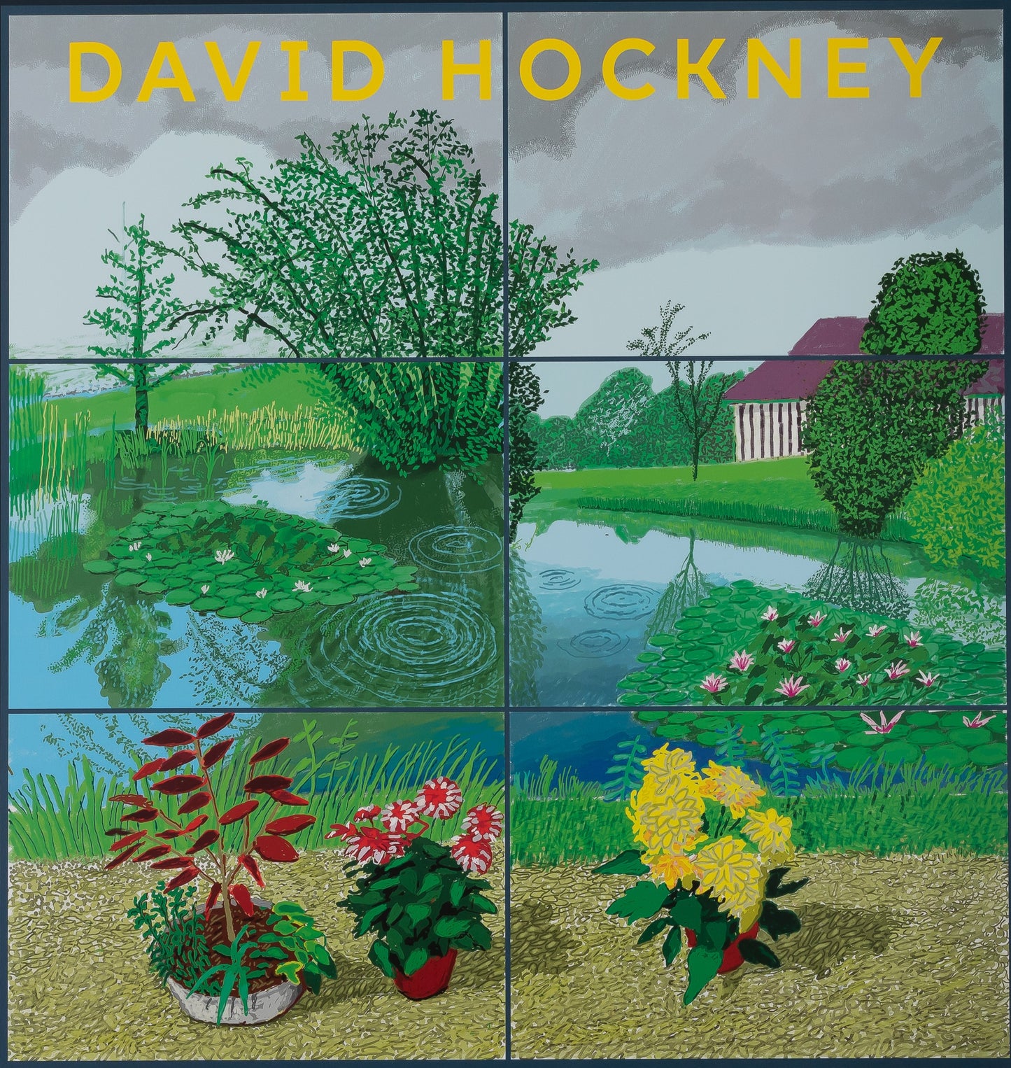 David HOCKNEY : Waterlilies in the pond - Affiche originale en couleurs