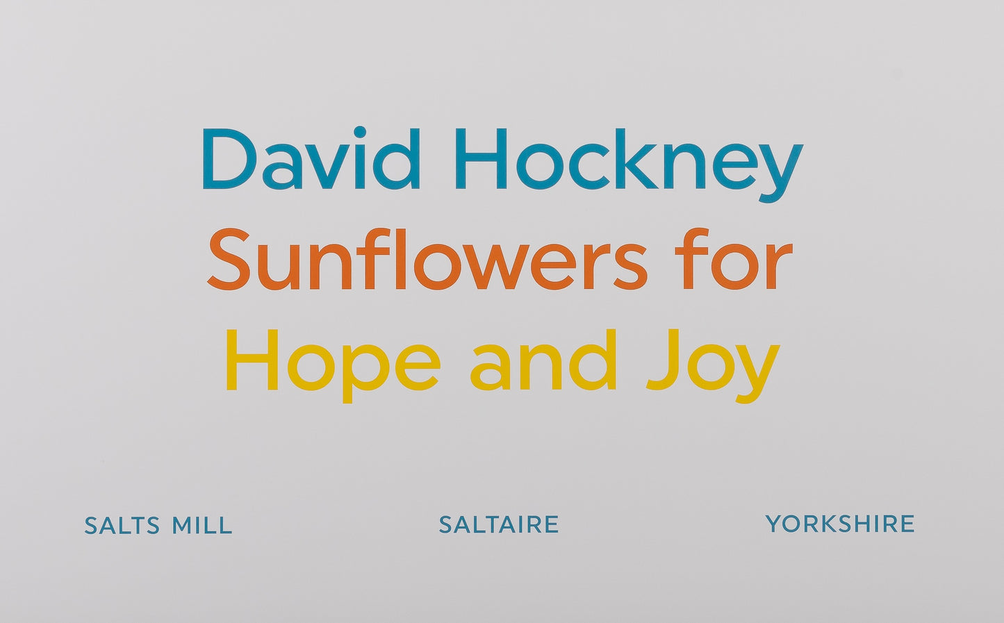 David HOCKNEY : Sunflowers - Affiche originale en couleurs