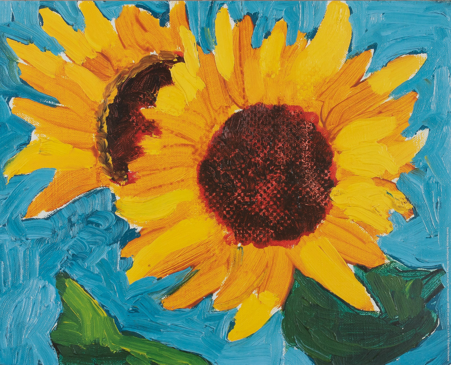 David HOCKNEY : Sunflowers - Affiche originale en couleurs