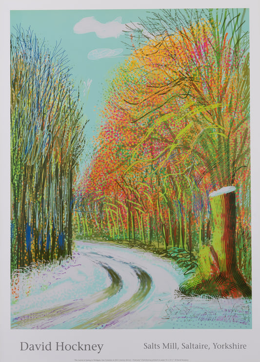 David HOCKNEY : Le chemin de la forêt - Affiche originale en couleurs