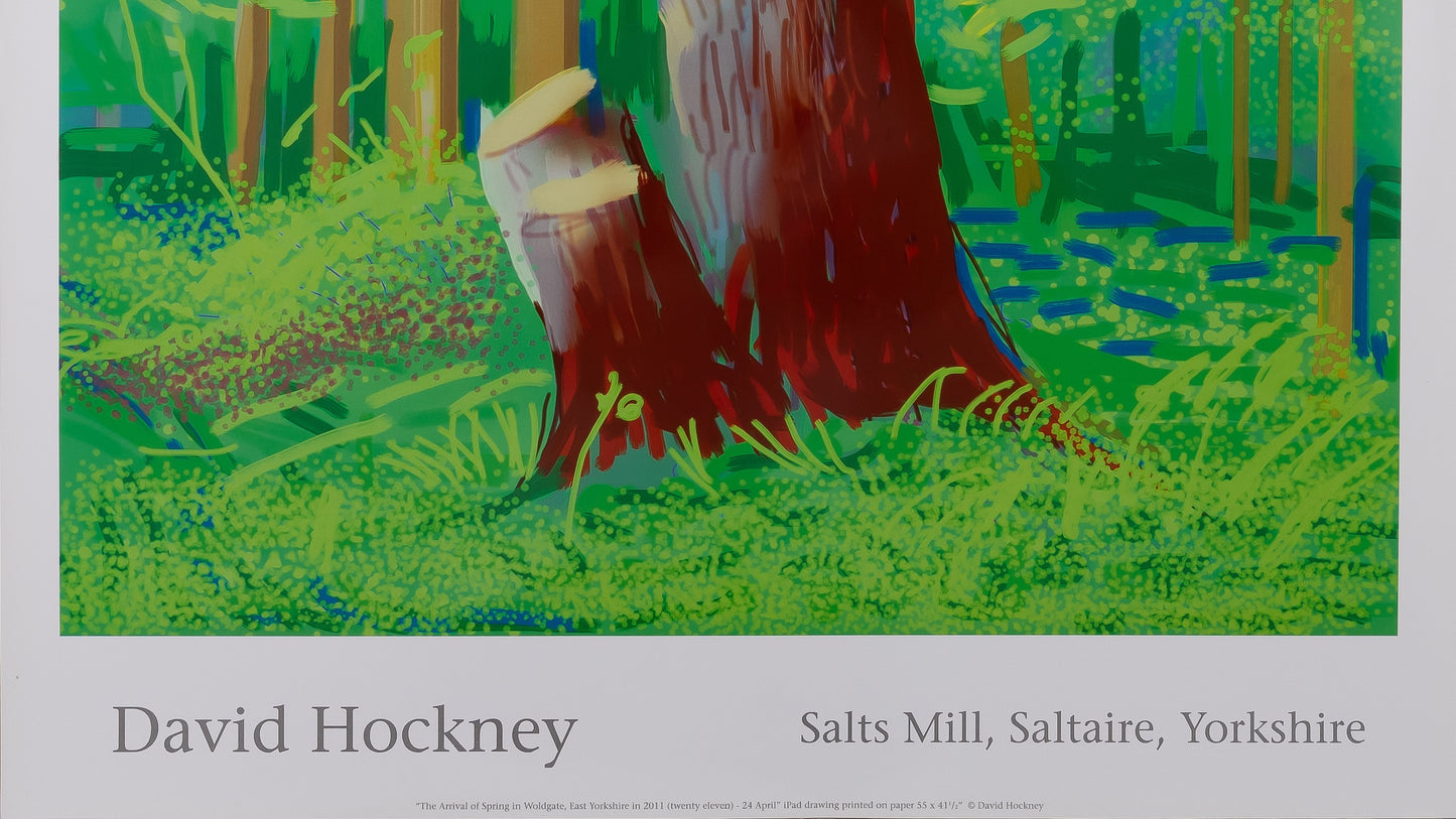 David HOCKNEY : Tronc d'arbre en forêt - Affiche originale en couleurs