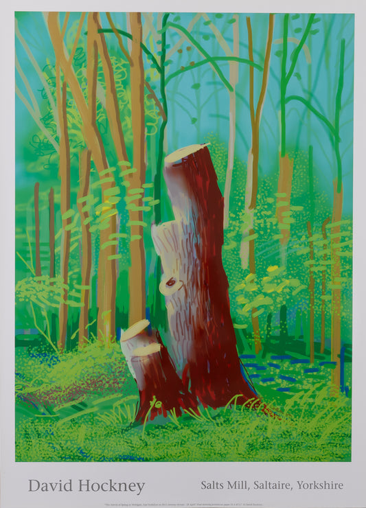 David HOCKNEY : Tronc d'arbre en forêt - Affiche originale en couleurs