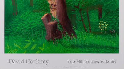 David HOCKNEY : A l'entrée du sous-bois - Affiche originale en couleurs