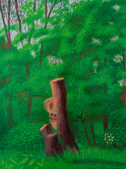David HOCKNEY : A l'entrée du sous-bois - Affiche originale en couleurs