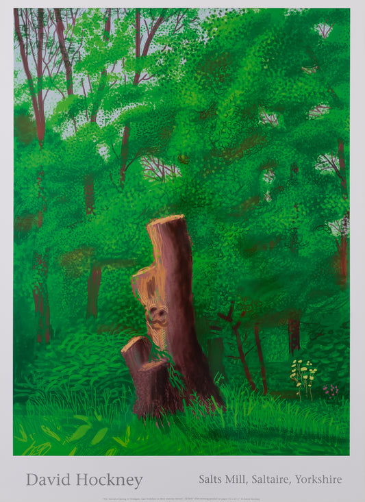 David HOCKNEY : A l'entrée du sous-bois - Affiche originale en couleurs