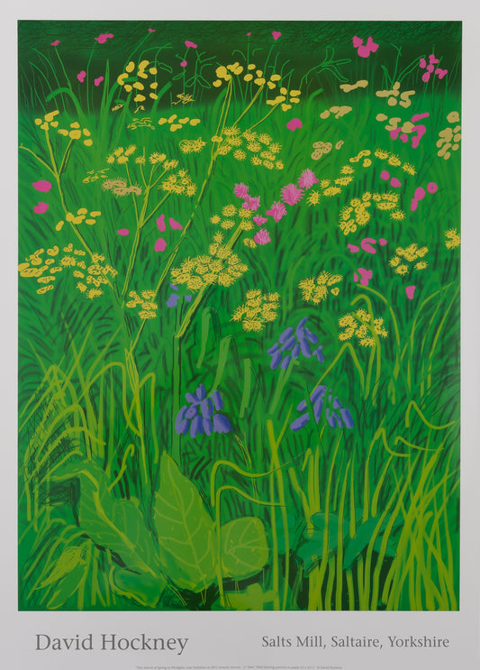 David HOCKNEY : Champs de fleurs - Affiche originale en couleurs