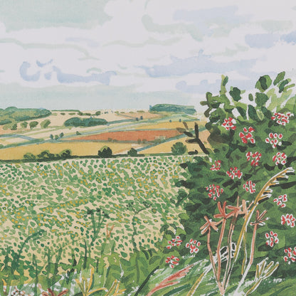 David HOCKNEY : A gap in the Hedgerow - Affiche originale en couleurs