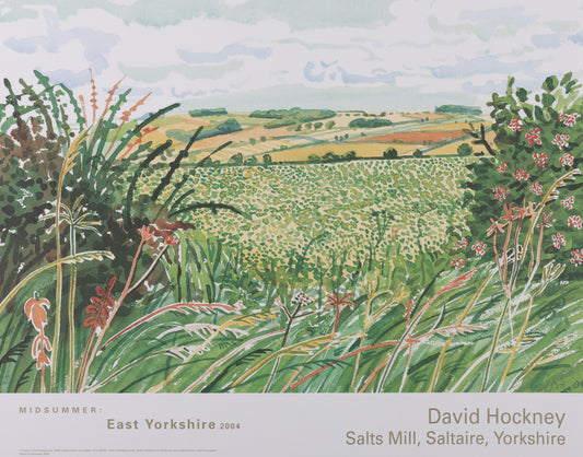 David HOCKNEY : A gap in the Hedgerow - Affiche originale en couleurs