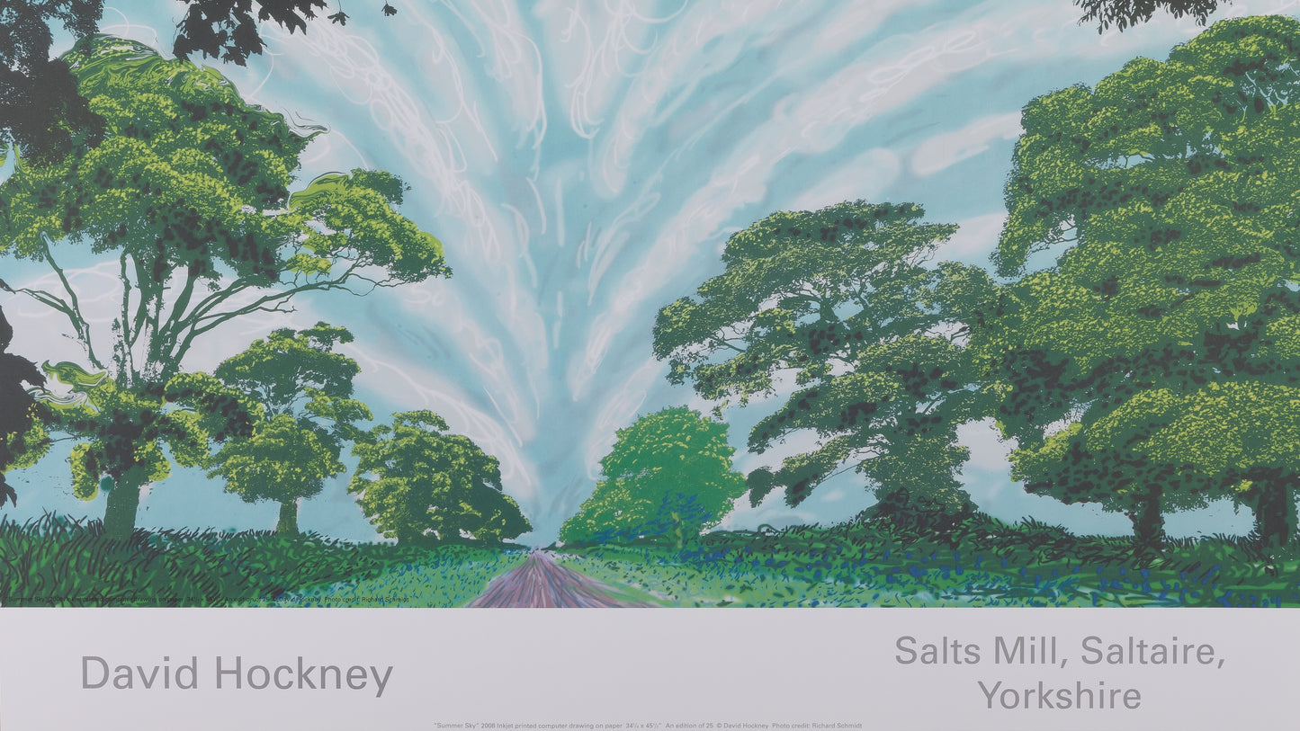 David HOCKNEY : Summer Sky - Affiche originale en couleurs