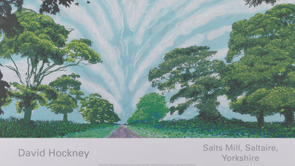 David HOCKNEY : Summer Sky - Affiche originale en couleurs