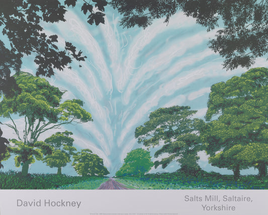 David HOCKNEY : Summer Sky - Affiche originale en couleurs