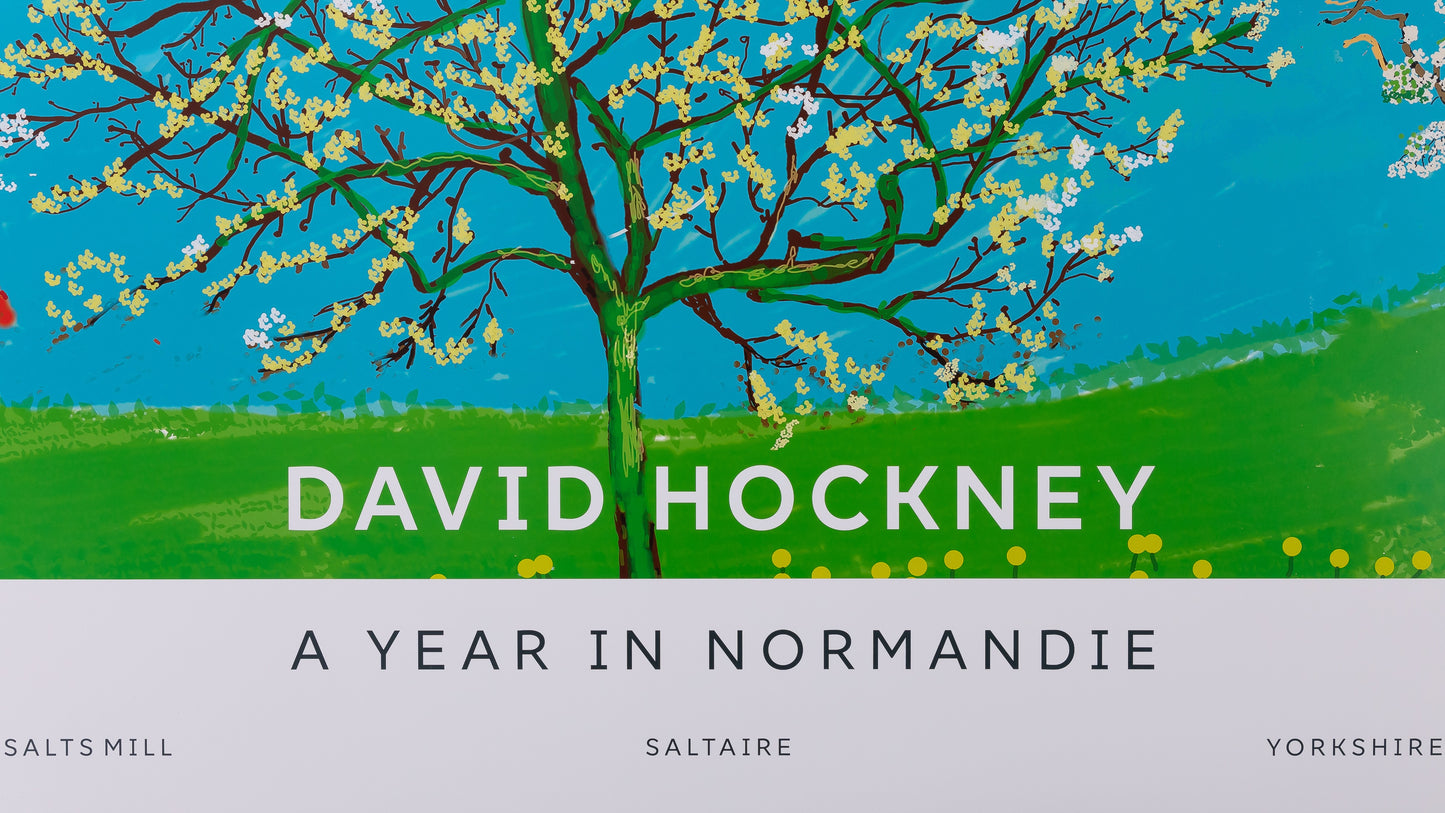 David HOCKNEY : Le cerisier en fleurs - Affiche originale en couleurs