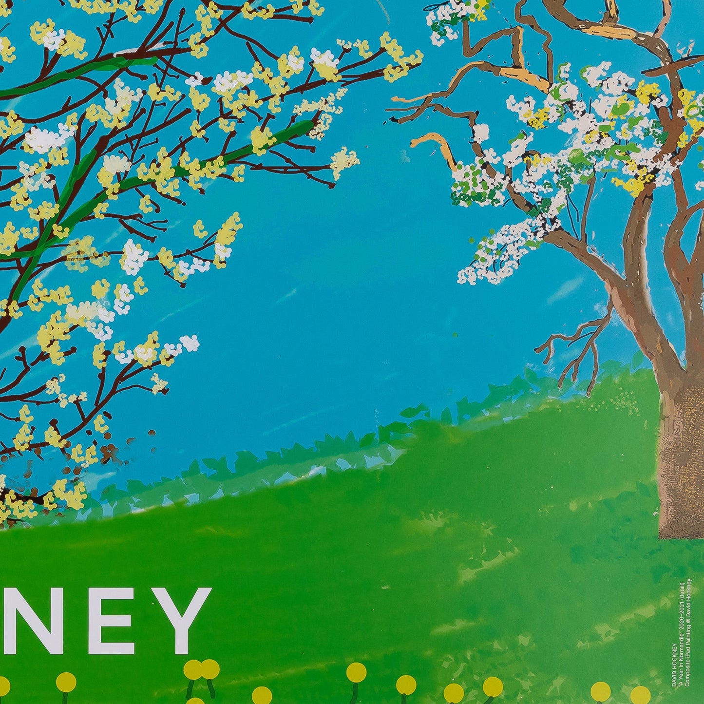 David HOCKNEY : Le cerisier en fleurs - Affiche originale en couleurs