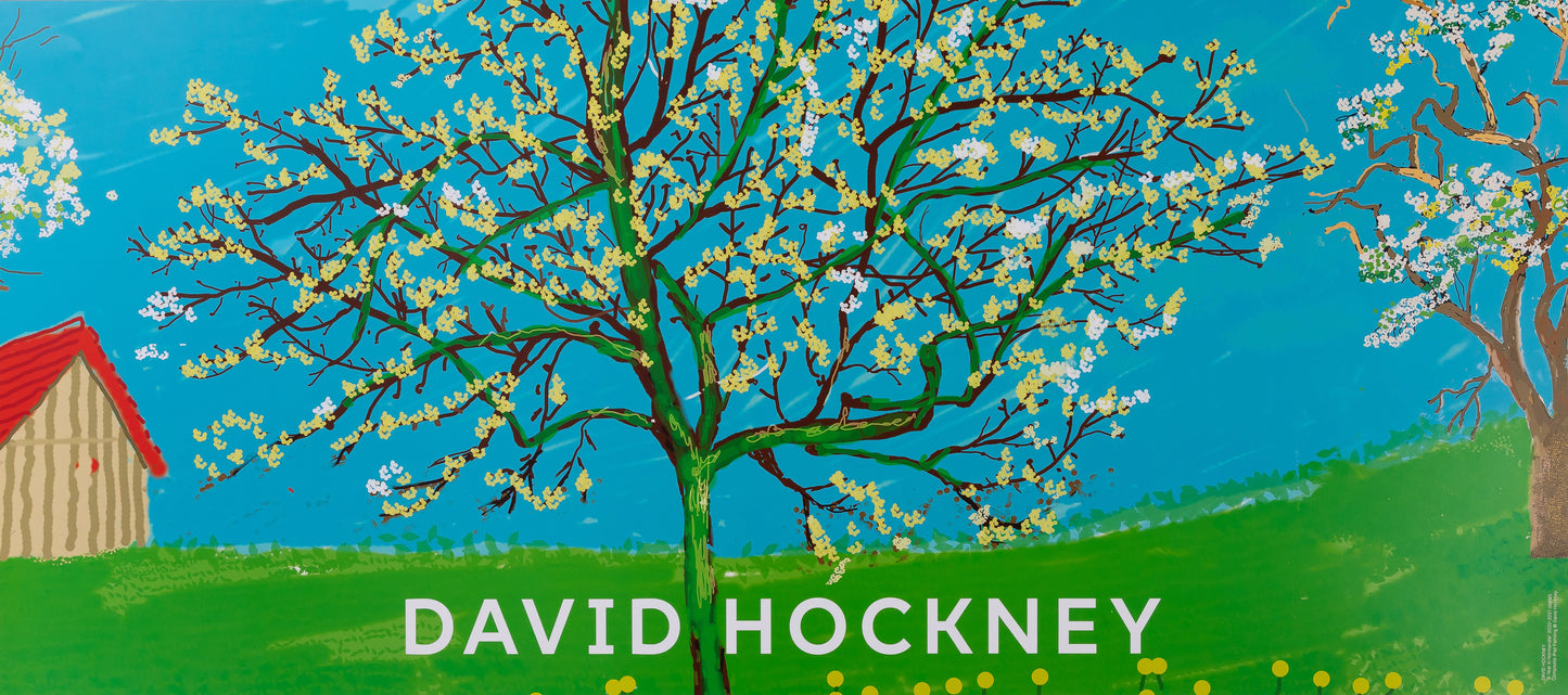 David HOCKNEY : Le cerisier en fleurs - Affiche originale en couleurs