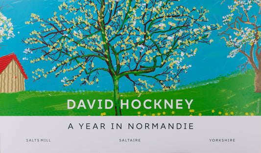 David HOCKNEY : Le cerisier en fleurs - Affiche originale en couleurs