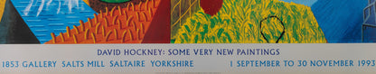 David HOCKNEY : The other side - Affiche originale en couleurs