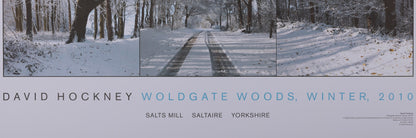 David HOCKNEY : Woldgate woods - Affiche originale