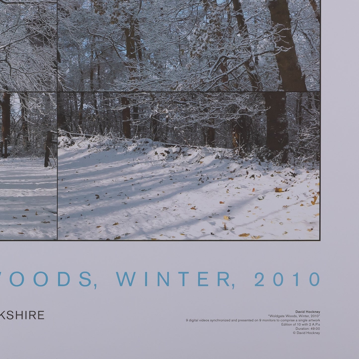 David HOCKNEY : Woldgate woods - Affiche originale