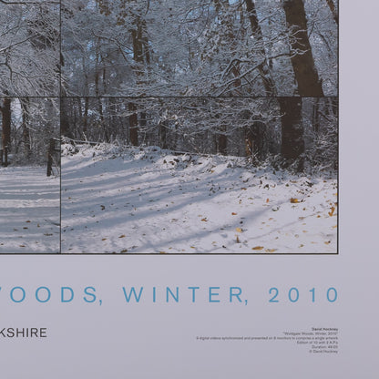 David HOCKNEY : Woldgate woods - Affiche originale