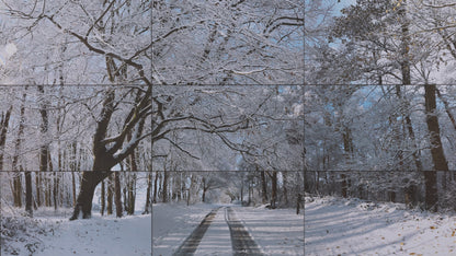 David HOCKNEY : Woldgate woods - Affiche originale