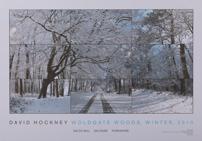 David HOCKNEY : Woldgate woods - Affiche originale