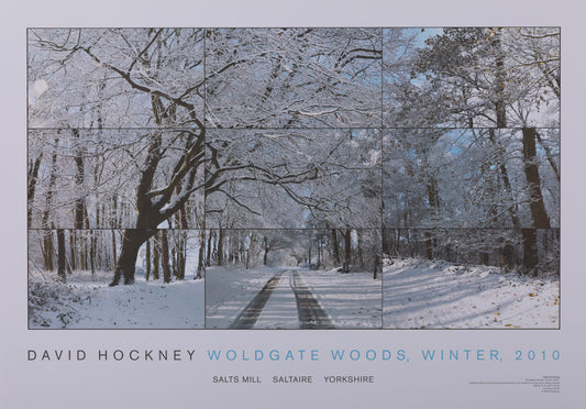 David HOCKNEY : Woldgate woods - Affiche originale