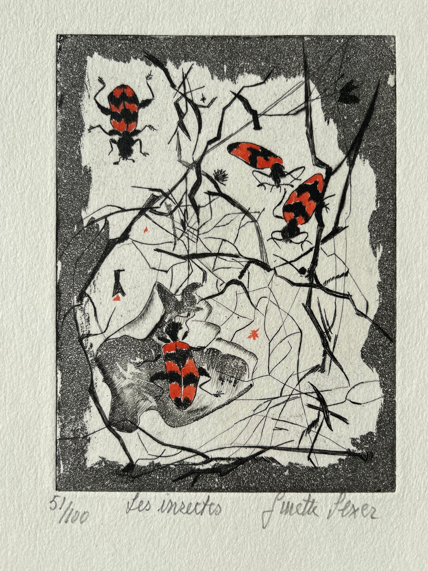 Ginette SEXER : Les insectes - Gravure originale signée