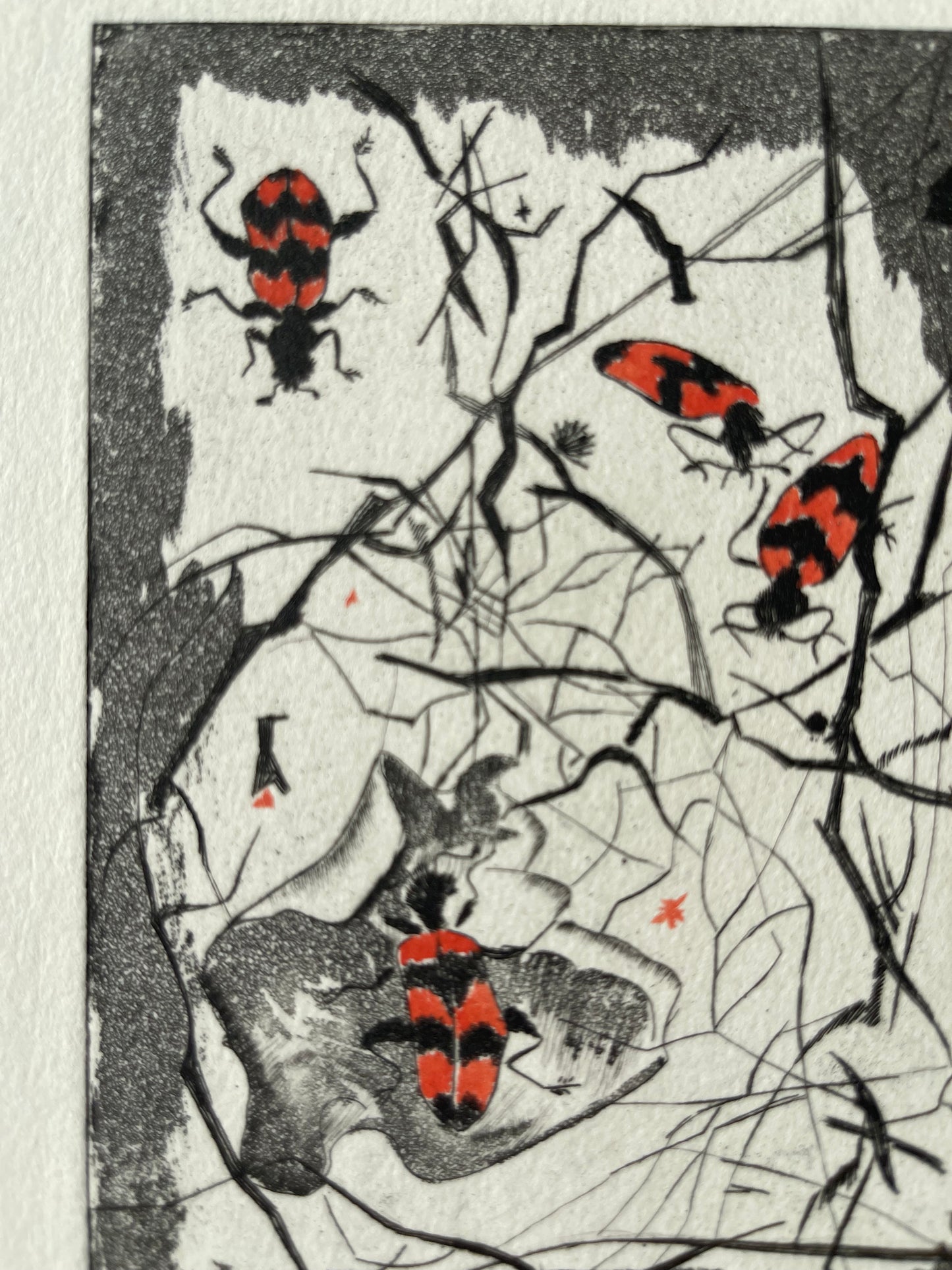 Ginette SEXER : Les insectes - Gravure originale signée