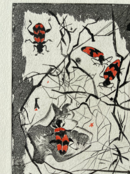 Ginette SEXER : Les insectes - Gravure originale signée