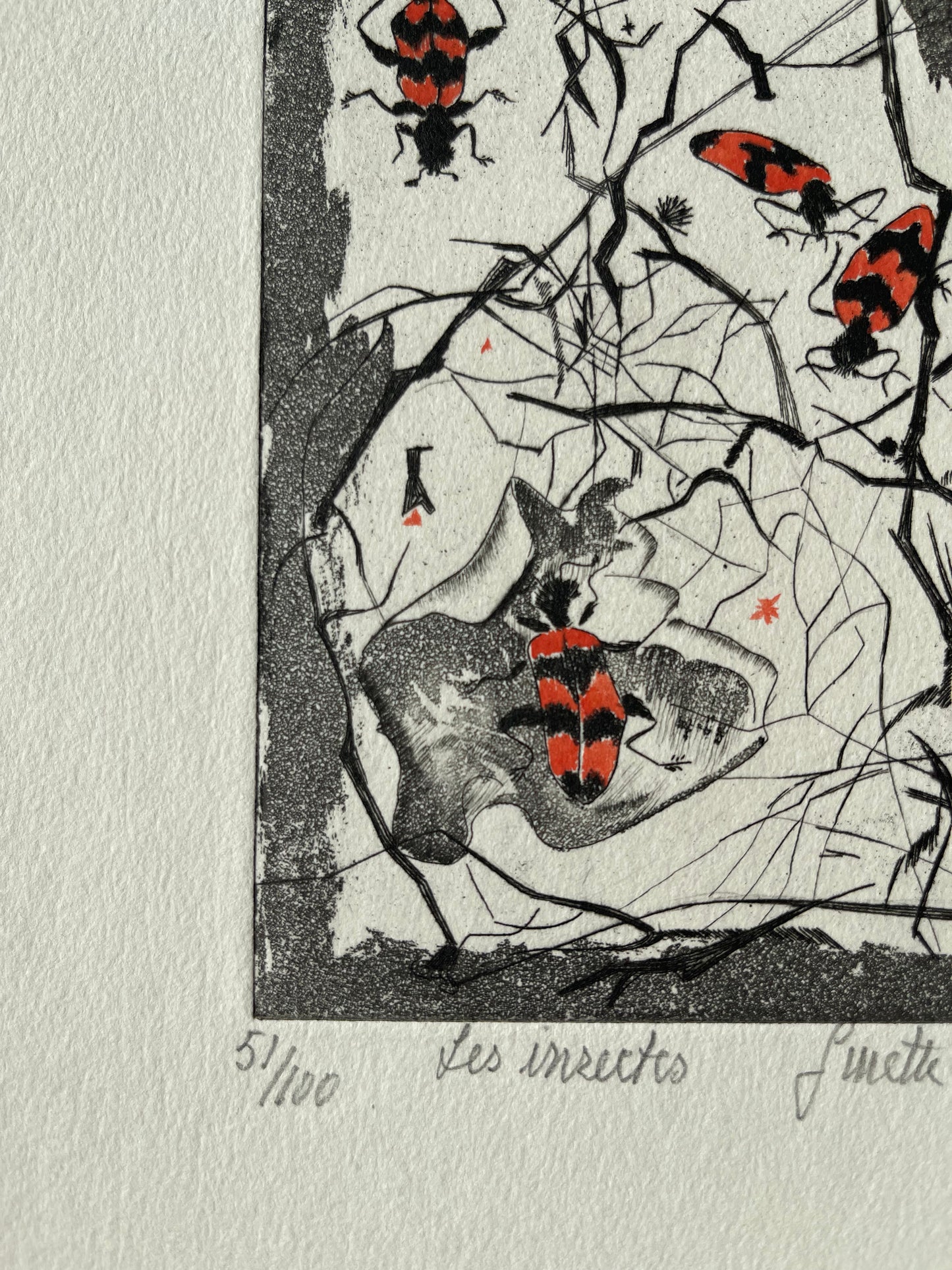 Ginette SEXER : Les insectes - Gravure originale signée