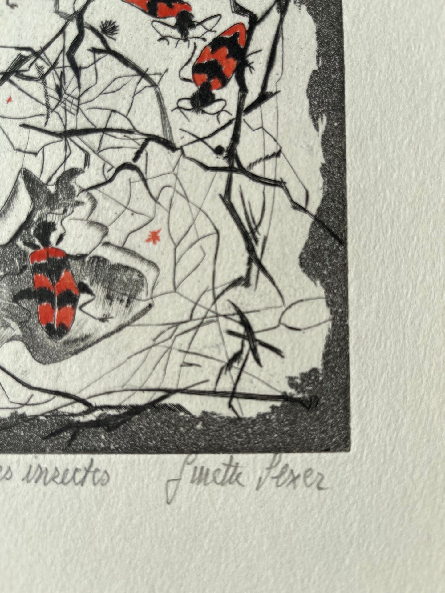Ginette SEXER : Les insectes - Gravure originale signée