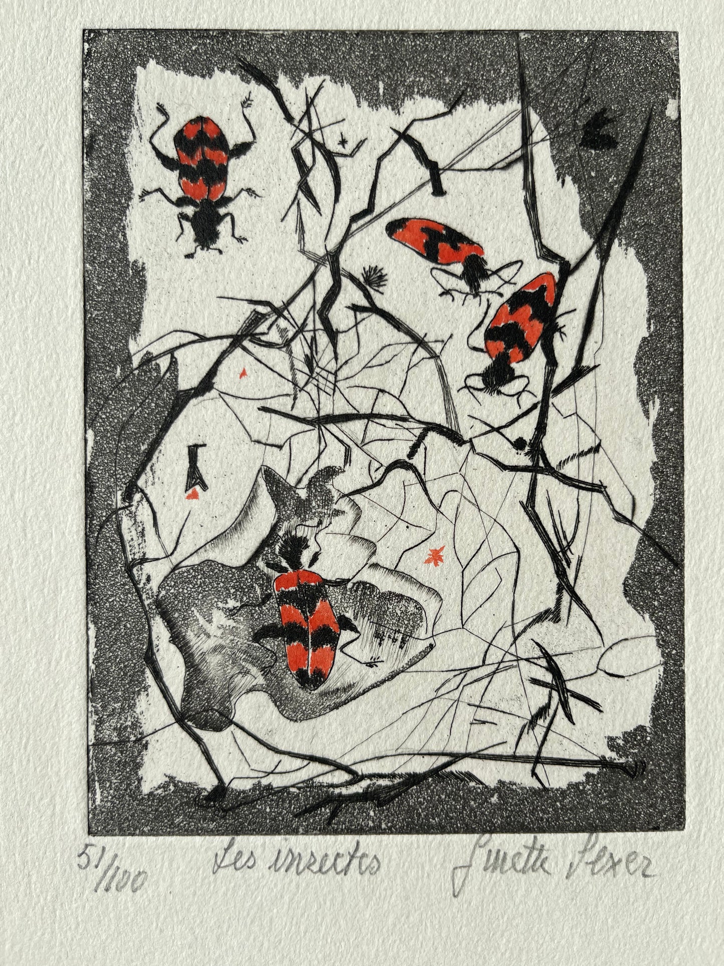 Ginette SEXER : Les insectes - Gravure originale signée