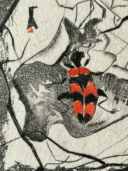 Ginette SEXER : Les insectes - Gravure originale signée
